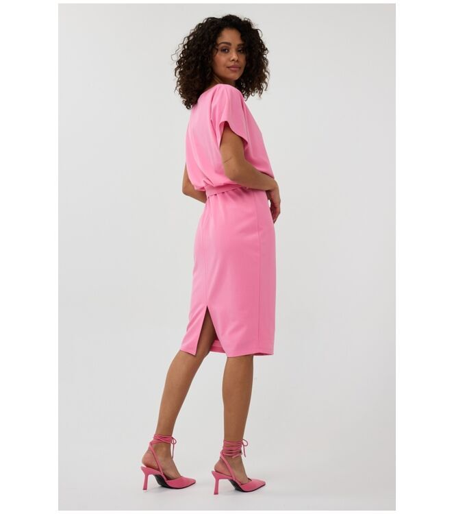 SP25.05011 | Rose