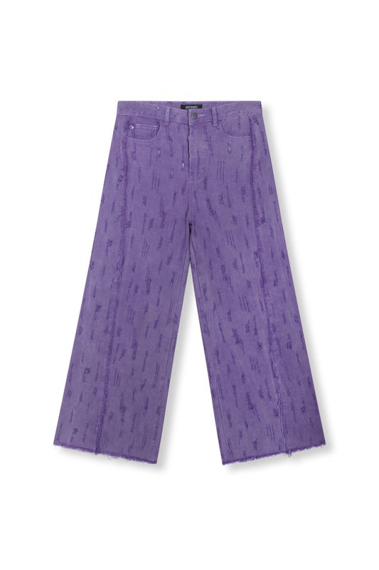 Dain Denim Pants | R2602170894 | Purple