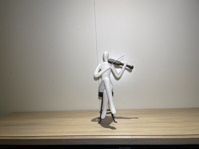 BEELD MUZIKANT