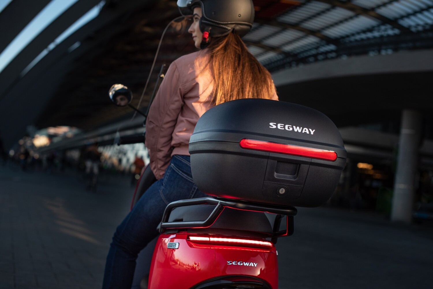 Segway E110S