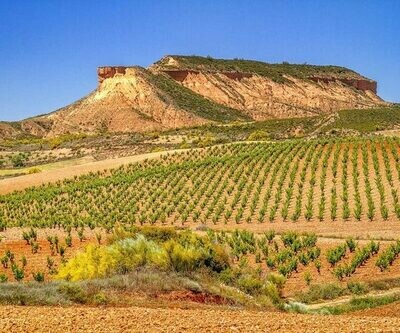 Cariñena