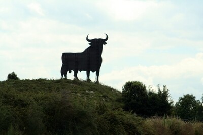 Toro