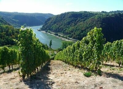 Rheingau