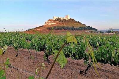 Ribera del Duero
