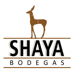 Shaya - Verdejo - BIO (Gil Family Estates) - 75cl