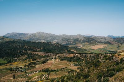 Campo de Borja