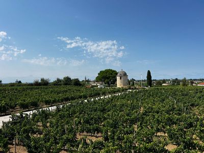 Côtes du Rhône