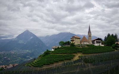 Trentino - Alto Adige