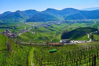 Veneto
