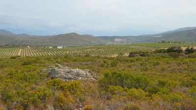 Languedoc