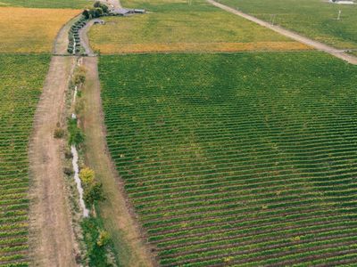 Marlborough