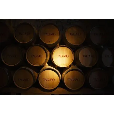 Tagaro Seicaselle Negroamaro - 75cl