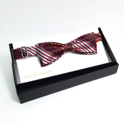 Vlinderdas, wit blauw rood gestreept