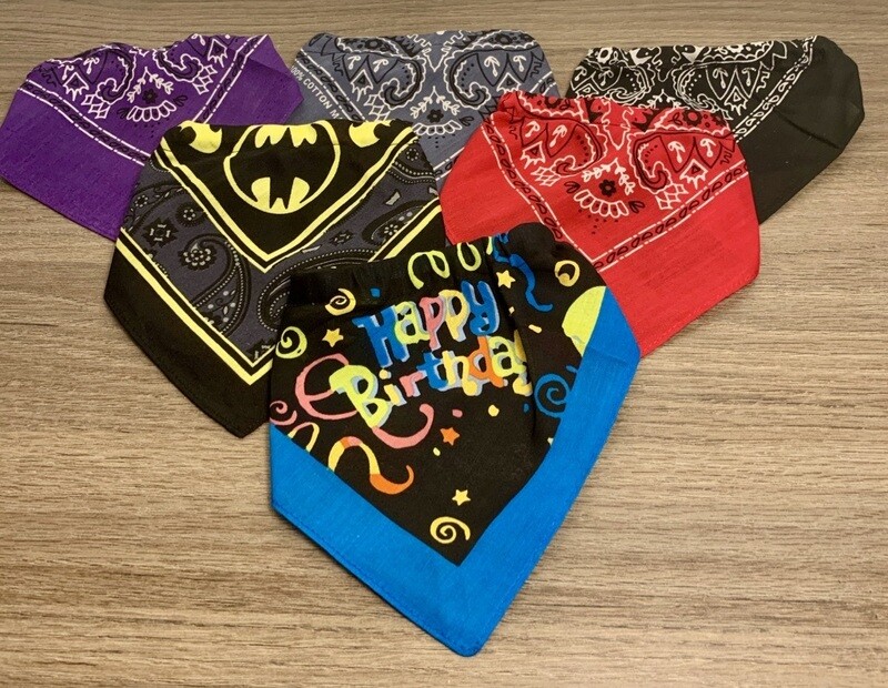 Collar With Bandana