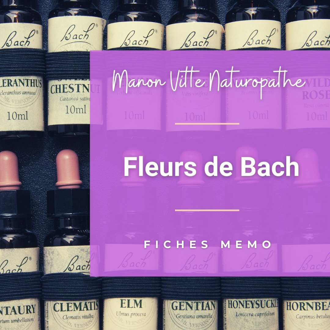 Fiches Mémo pour naturopathe : Fleurs de Bach
