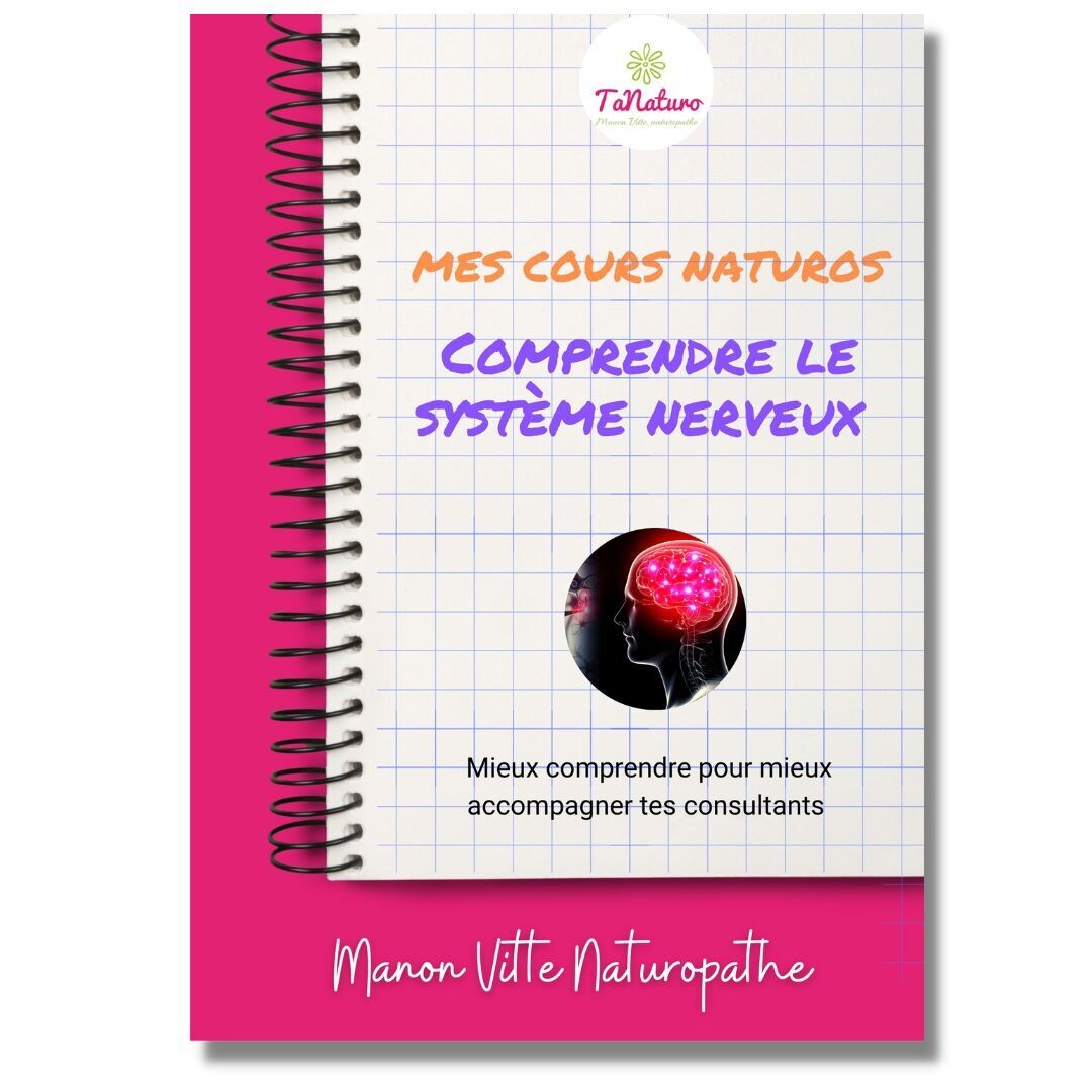 Mes Cours Naturo PDF : Comprendre le système nerveux