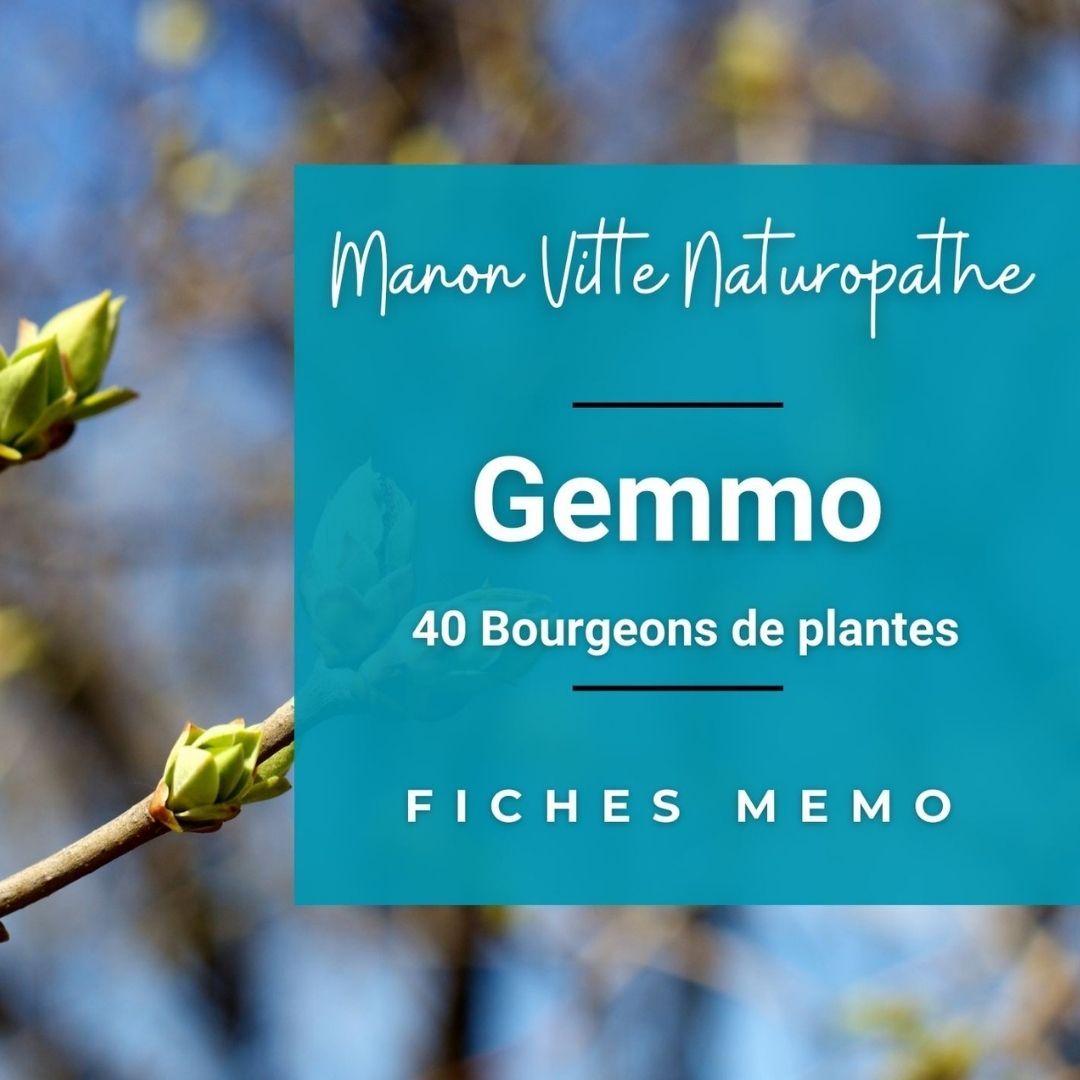 Fiches Mémo : Gemmo