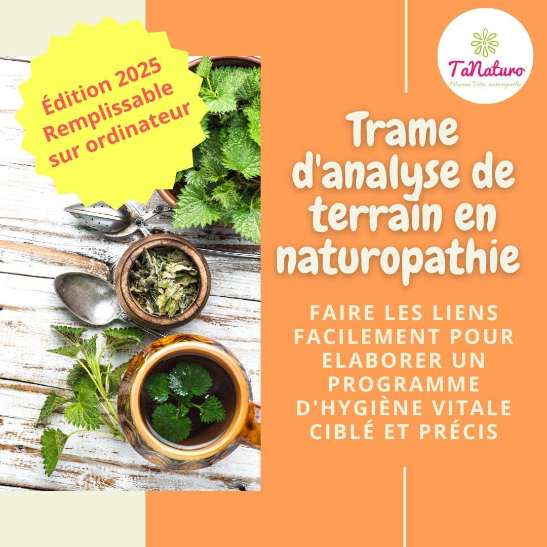 Trame d&#39;analyse de terrain en naturopathie (V3)
