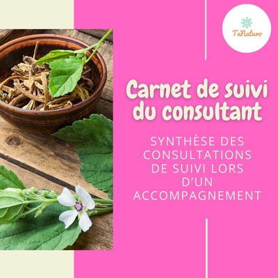 Carnet de suivi du consultant