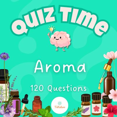 Quiz Time Aroma : Teste tes connaissances !