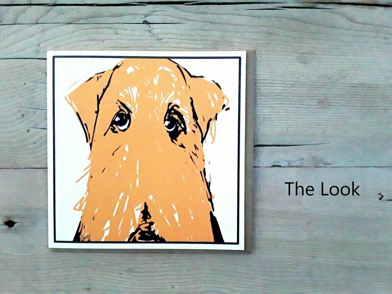 The Look