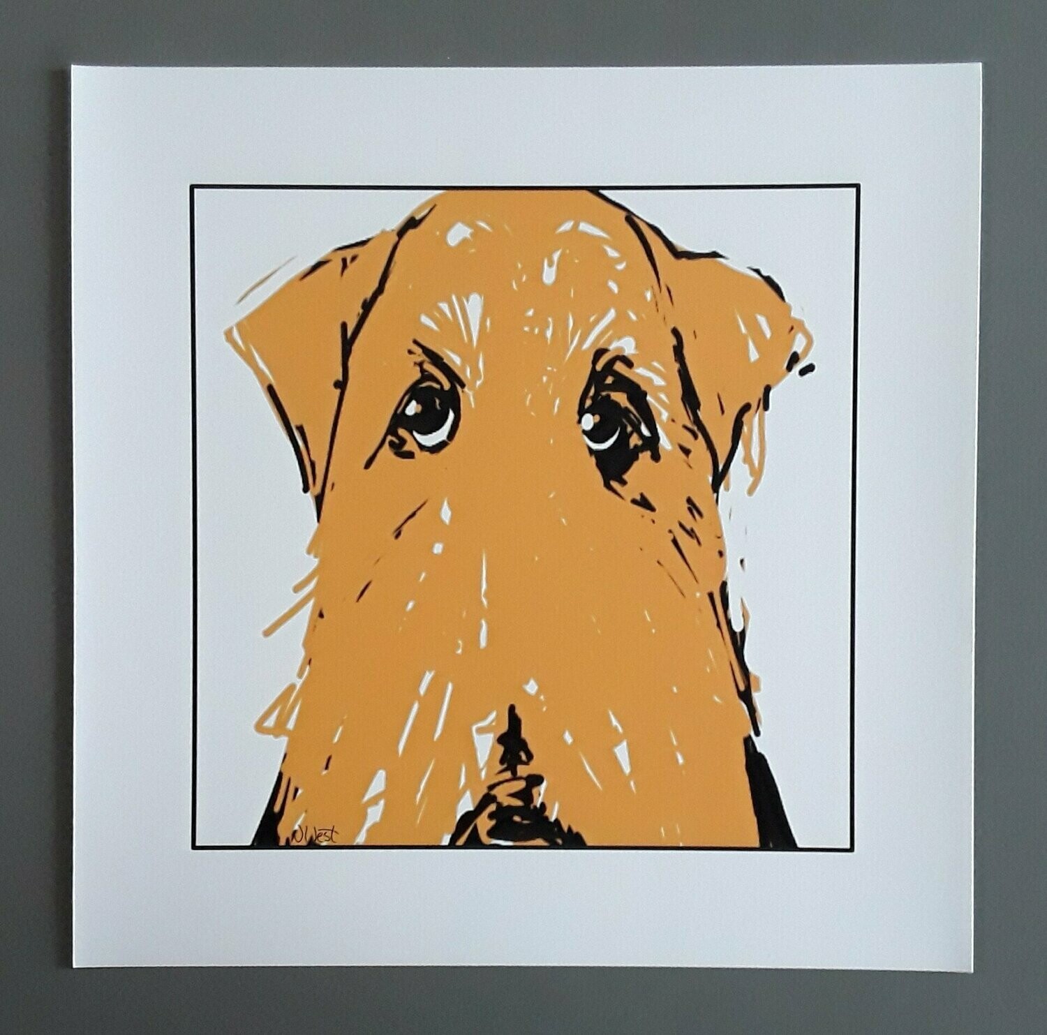 The Look - 12"x12" print