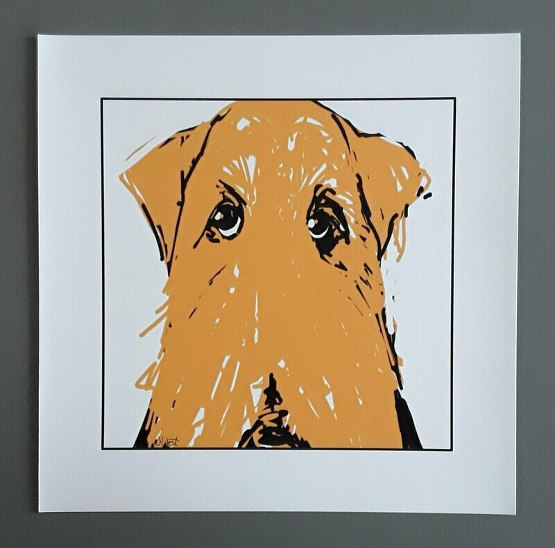 The Look - 12"x12" print