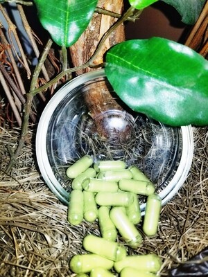 Green Sulawesi Capsules