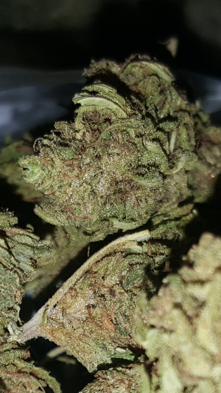 28 Gram (Oz) package