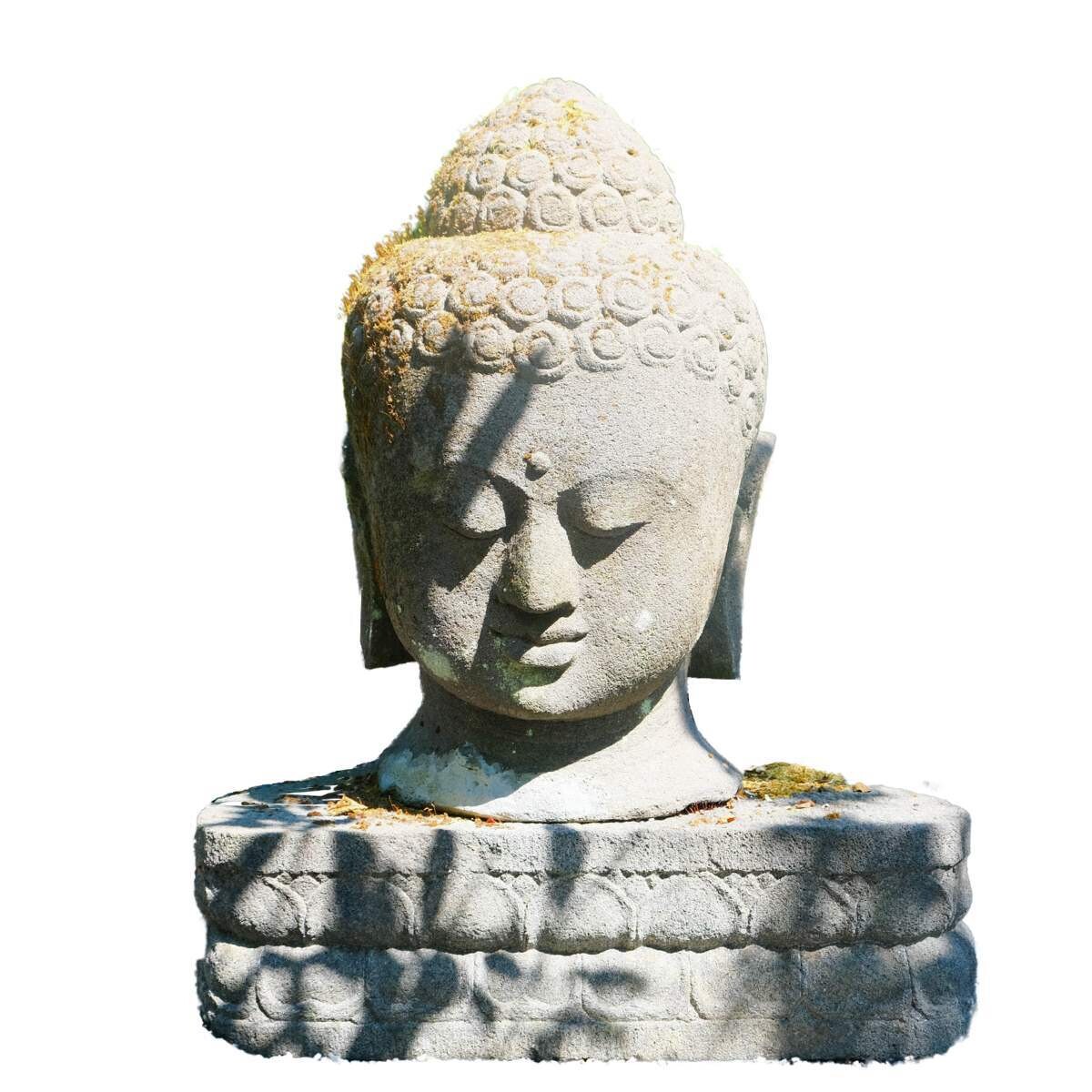 BUDDHA KOPF mit Sockel