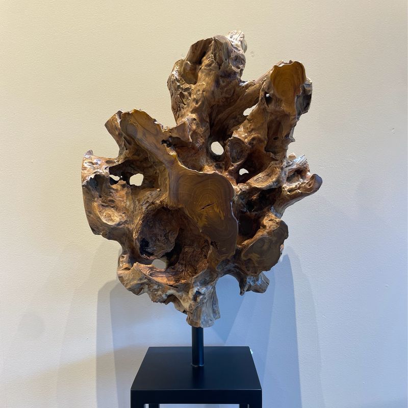 Hauser Design Wurzelfragment