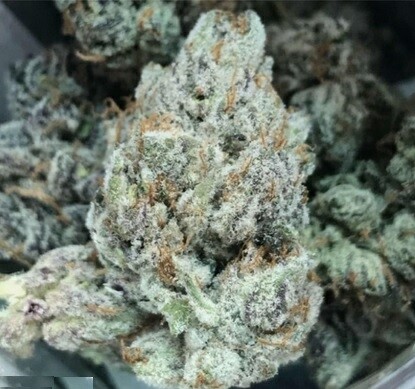 5 Gelato seeds