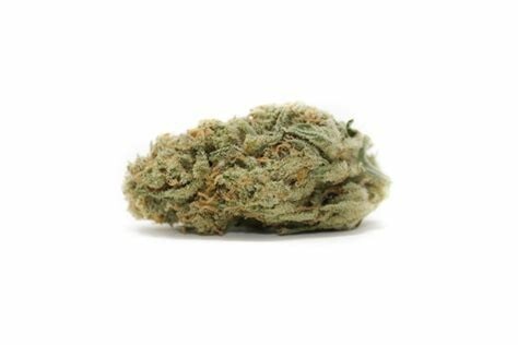 Bulk buy 100 glue berry seeds