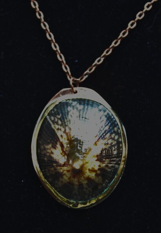 Sea Shell Pendant