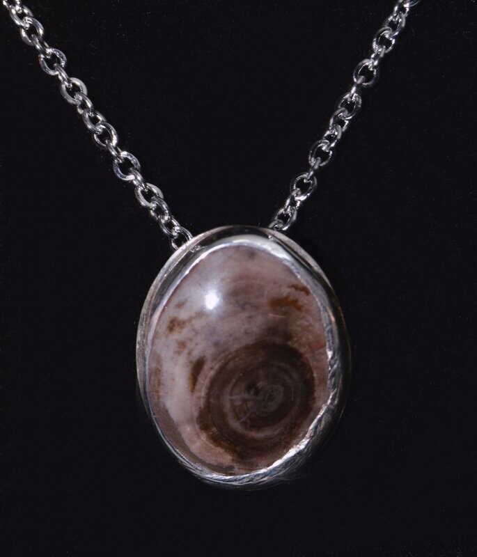 Petrified wood Pendant