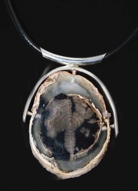 Double sided petrified wood