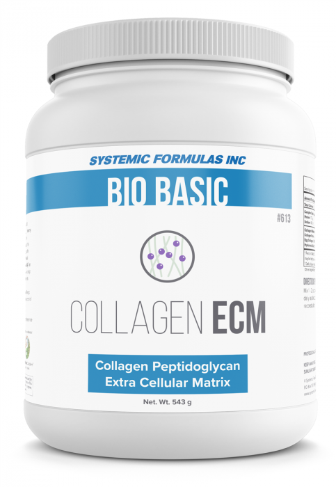 Collagen ECM (Extra Cellular Matrix) 543 Grams Powder