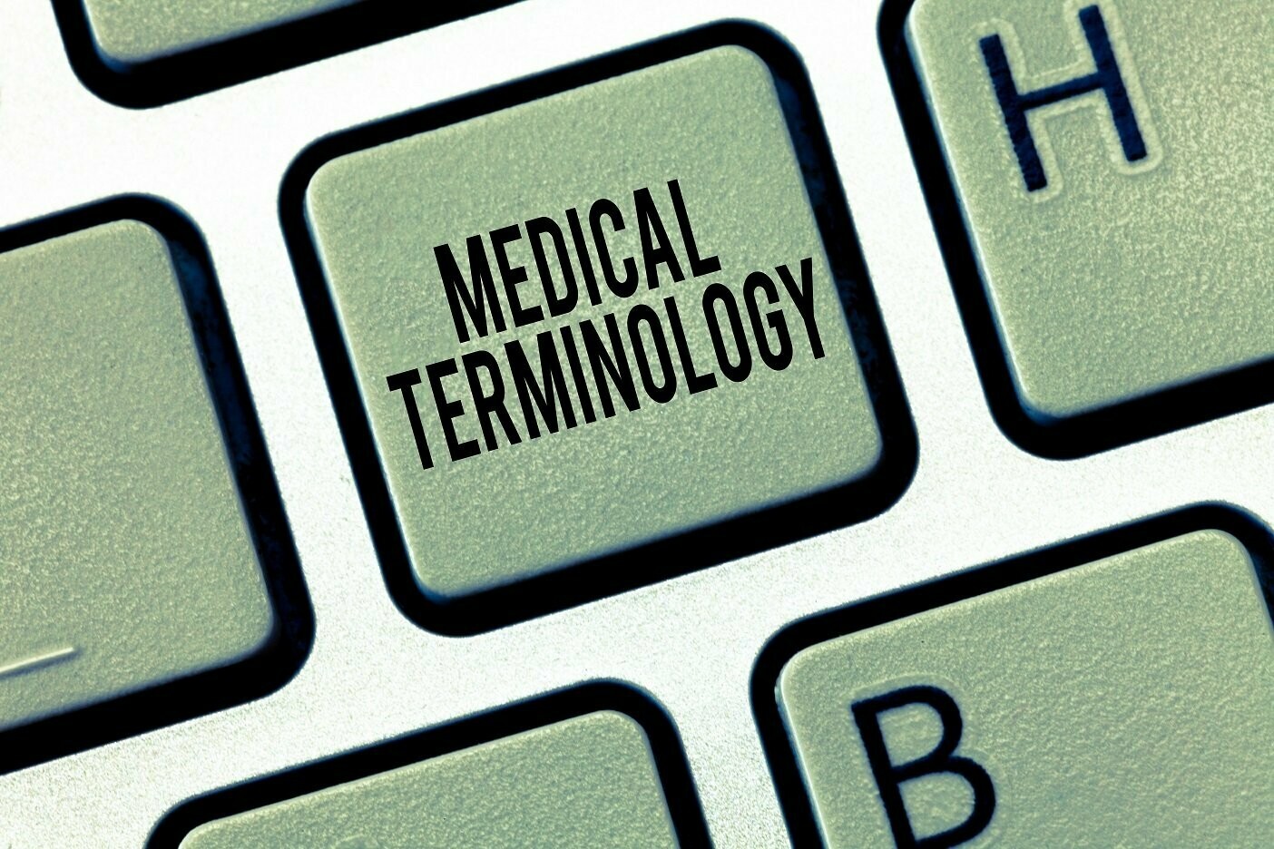 BSMSA Medical Terminology for Beginners