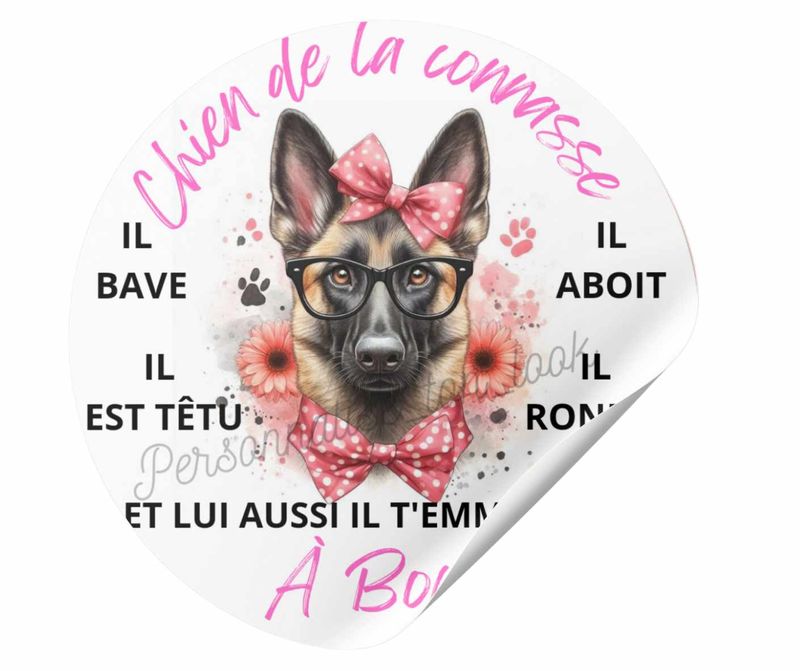 Stickers &quot; chien de la connasse &quot; pour voiture