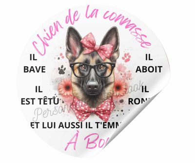 Stickers &quot; chien de la connasse &quot; pour voiture