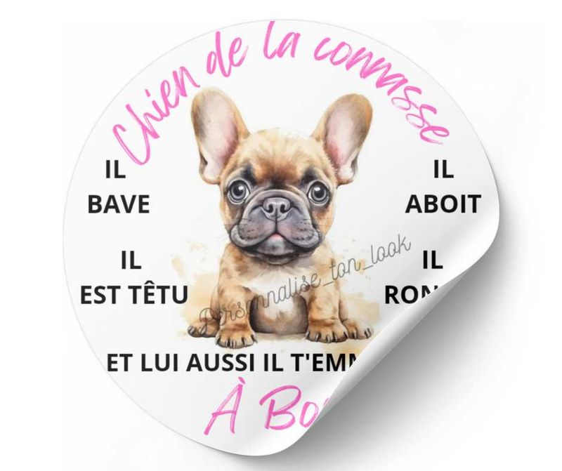 Stickers " chien de la connasse " pour voiture