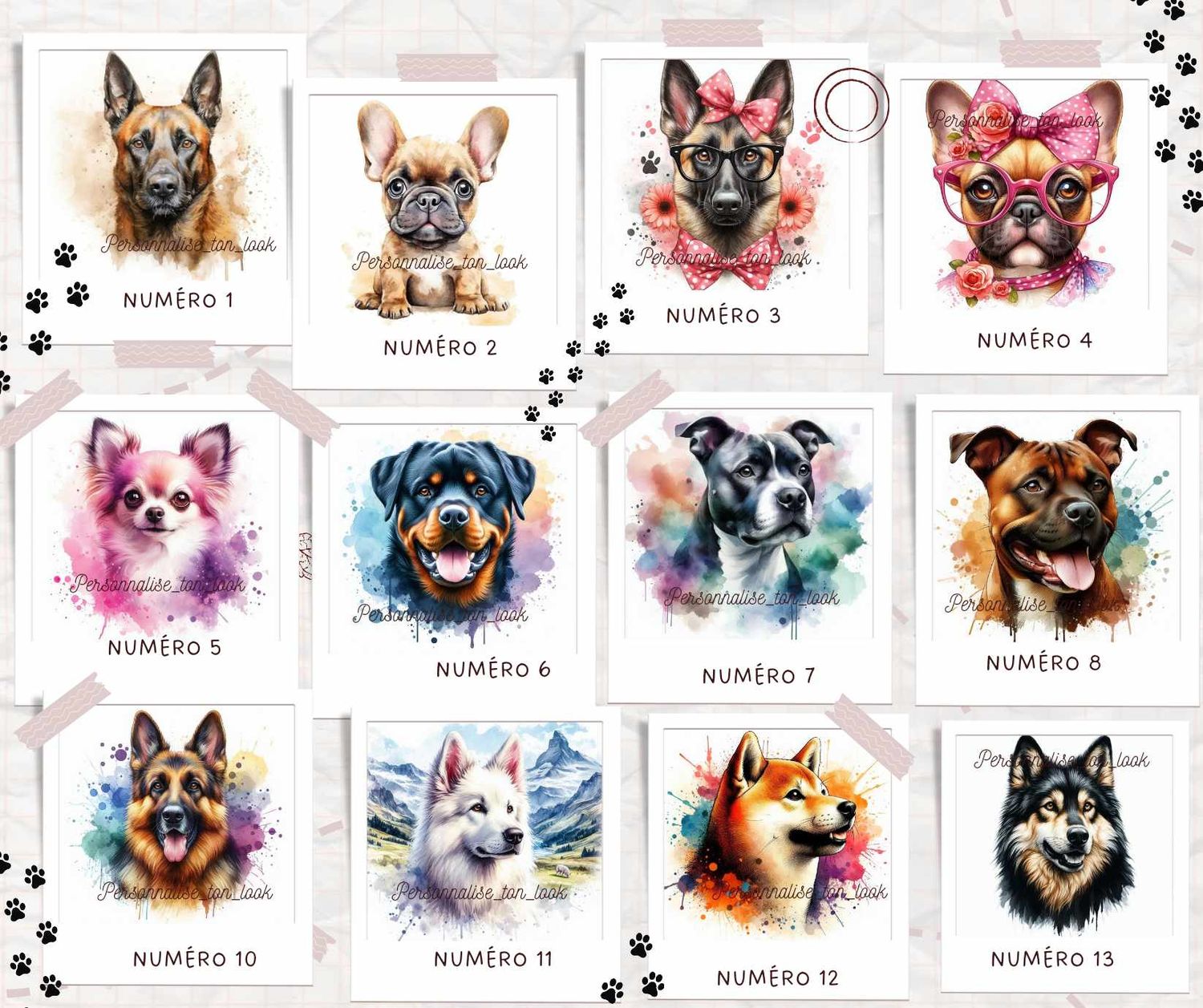 Stickers &quot; chien de la connasse &quot; pour voiture