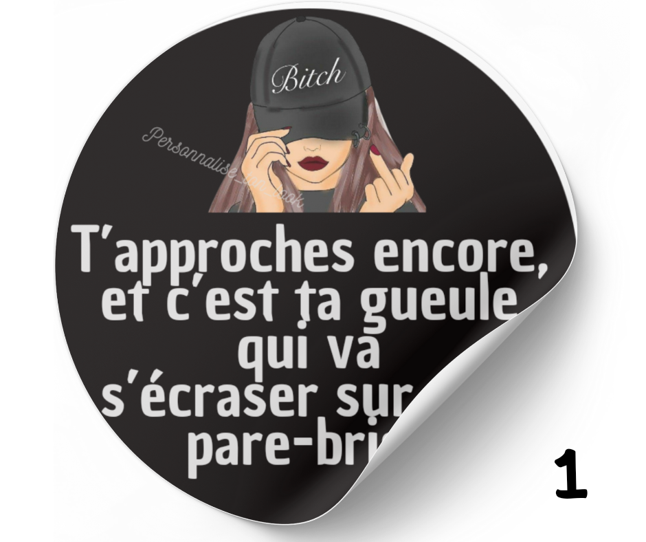 Stickers voiture &quot; me colle pas &quot; autocollant humour voiture