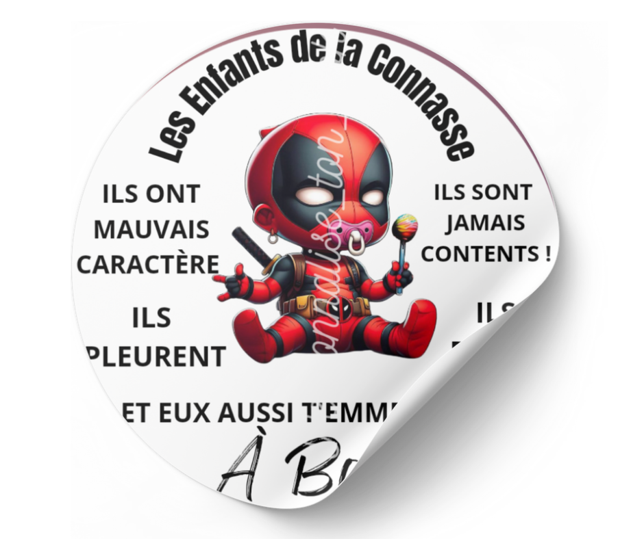 Stickers enfants de la connasse autocollant voiture humour