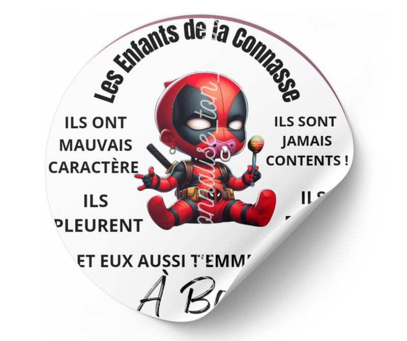Stickers enfants de la connasse autocollant voiture humour