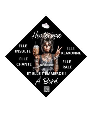 Accessoire voiture plaque ventouse Hystérique girly