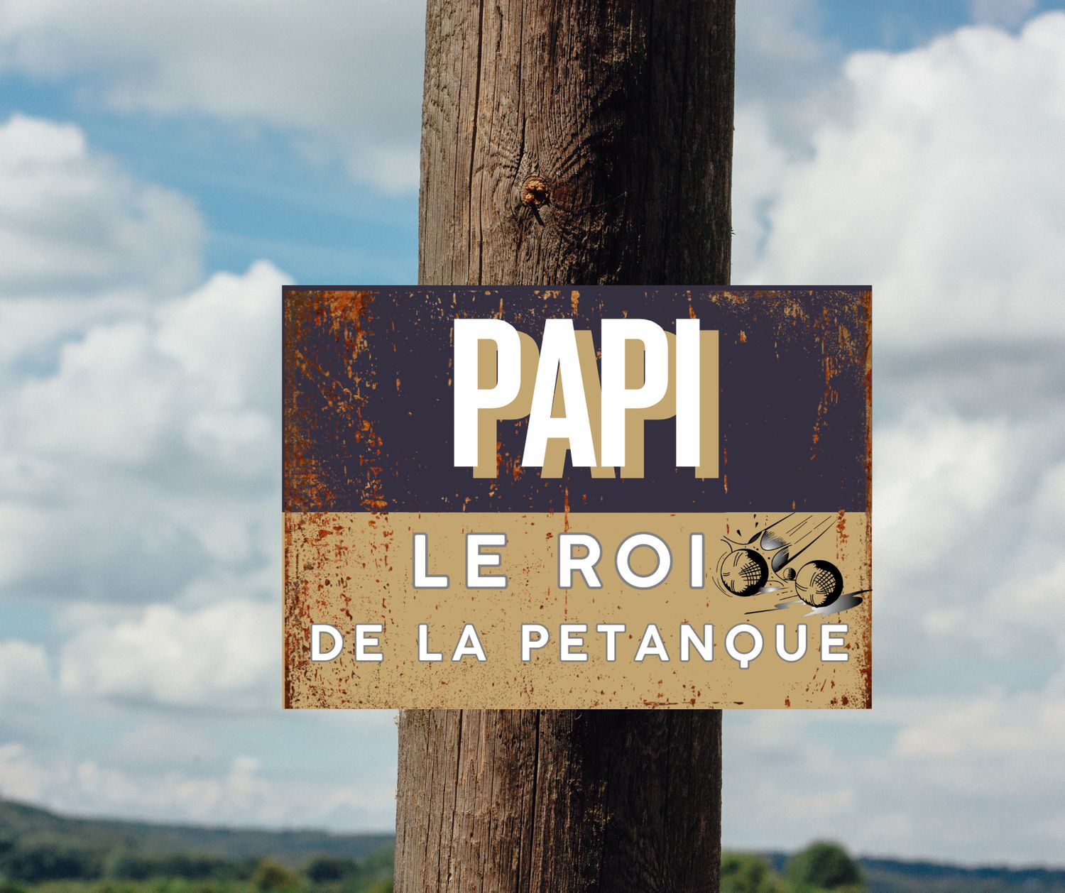 Plaque métal pétanque, roi de la pétanque 