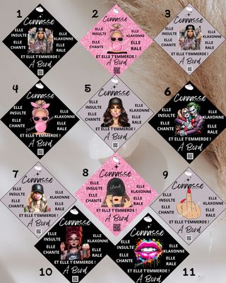 Plaque ventouse voiture connasse à bord