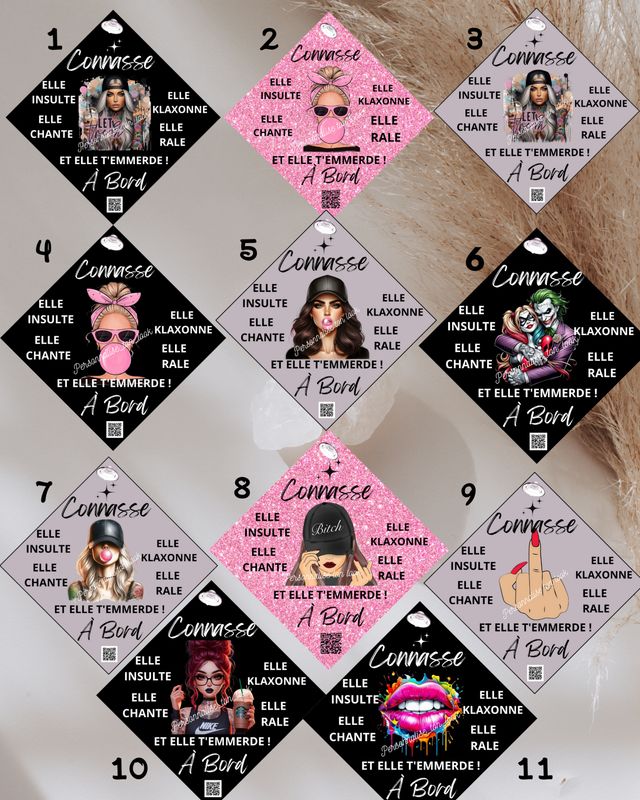 Plaque ventouse voiture connasse à bord