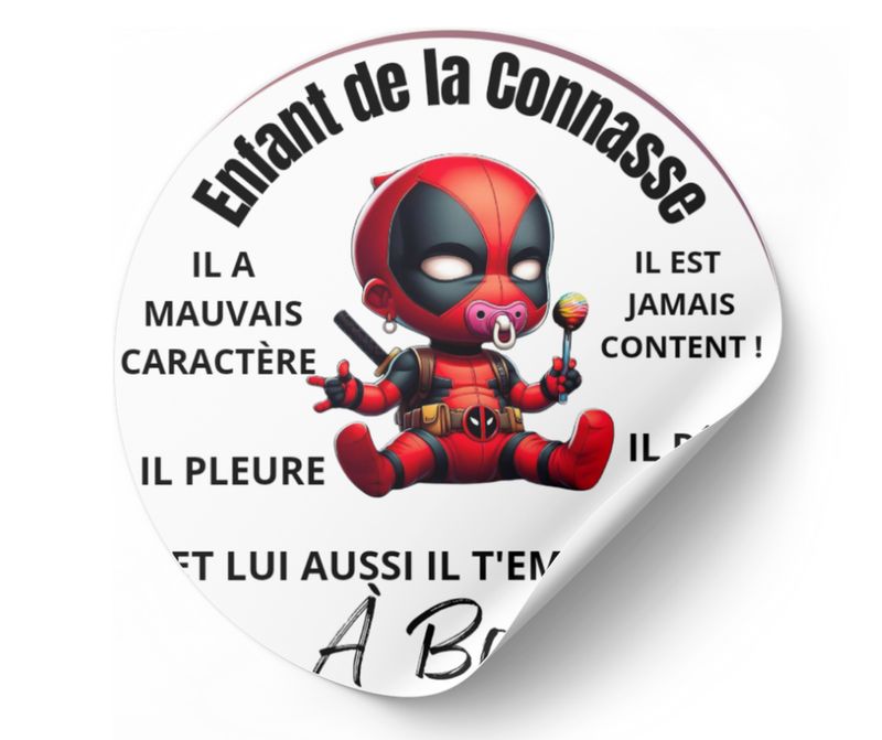 Stickers enfants de la connasse autocollant voiture humour